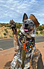 Tie On Cowboy Dog Bandana