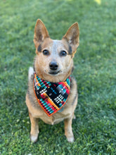 Sonoran tie on Dog Bandana