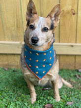 Campfire tie on Dog Bandana