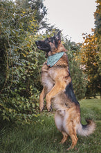 Happy Camper Tie on Dog Bandana