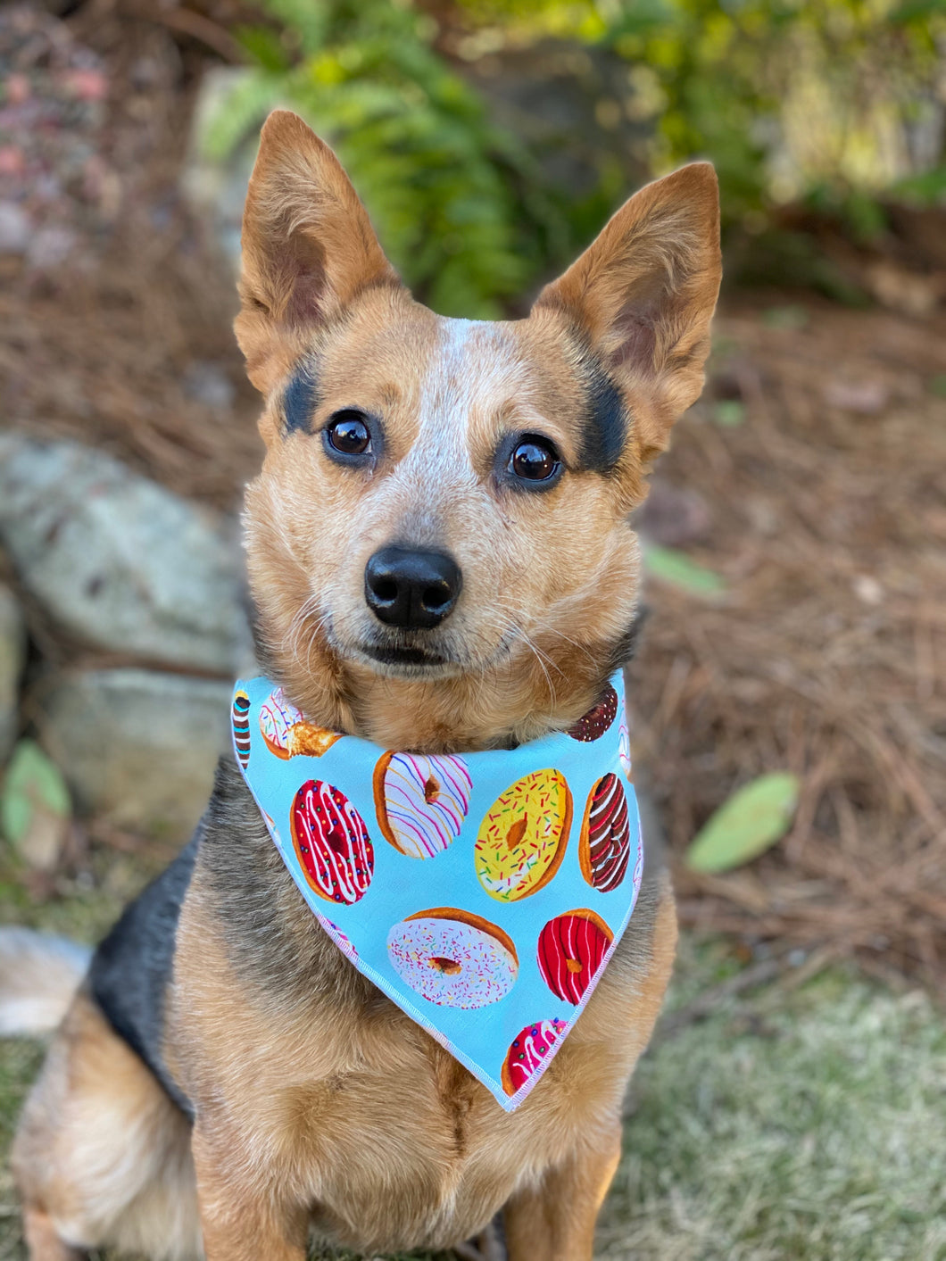 All the Donuts 🍩 Tie on Dog Bandana