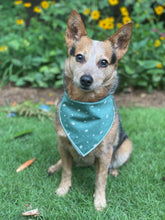 Evergreen 🌲 tie on Dog Bandana