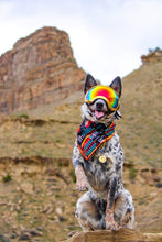 Sonoran tie on Dog Bandana