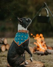 Campfire tie on Dog Bandana
