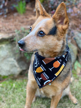 Tie on Cheers for Beers 🍻 Dog Bandana