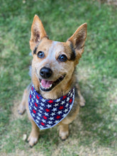 Tie on Patriotic Dog Bandana