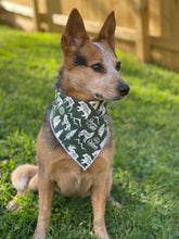 Adventure Seeker Green Tie on Dog Bandana