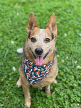 Tie on Mushrooms ๐ Dog Bandana