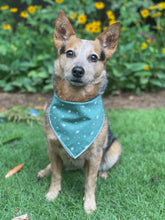 Evergreen 🌲 tie on Dog Bandana