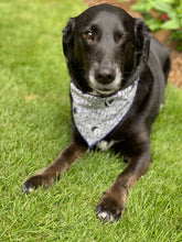 Tie on Shark Bite Dog Bandana
