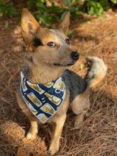 Tie on Happy Hour 🍻 Dog Bandana