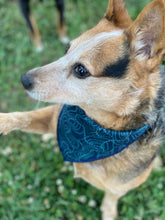 ToPAWgraphic tie on Dog Bandana