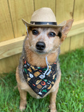 Tie On Cowboy Dog Bandana