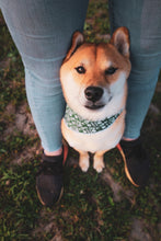 Hiking Buddy Tie on Dog Bandana (Copy)