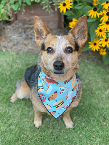 Food Truck Fun Tie on Dog Bandana