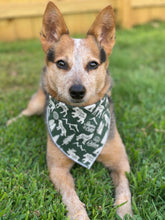 Adventure Seeker Green Tie on Dog Bandana