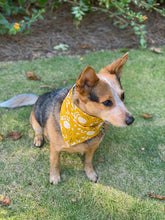 Tie On Fall Marigold Dog Bandana