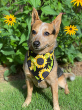 Tie on Sunflower 🌻 Dog Bandana