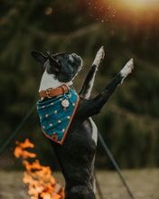 Campfire tie on Dog Bandana