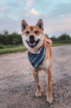 Indigo dreams tie on Dog Bandana