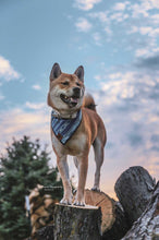 Indigo dreams tie on Dog Bandana