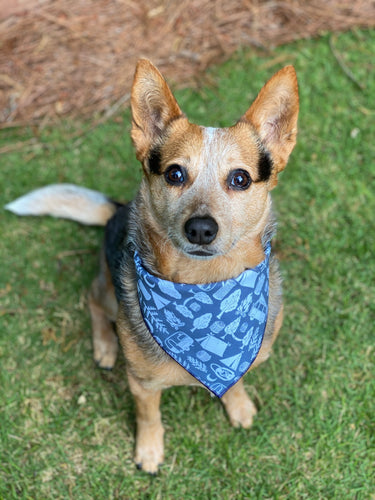 Camp Vibes Tie on Dog Bandana