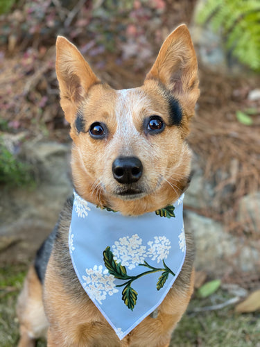 Southern Charm Tie on Dog Bandana