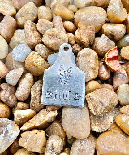 Cattle Dog - Dog Tag