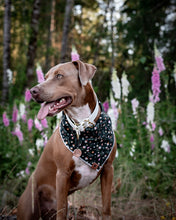 Green Wild flower tie on Dog Bandana