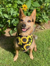 Tie on Sunflower 🌻 Dog Bandana
