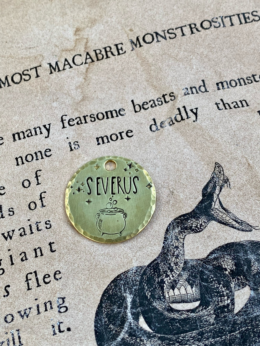 Harry Potter Potions Dog - Tag – Paw Prints Dog Co.