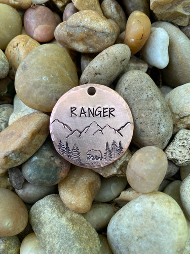 Tetons Dog Tag