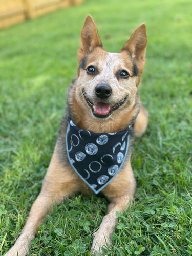 Mystical Moon Phases Tie on Dog Bandana