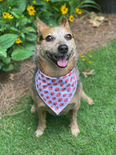 Tie on Summer Strawberry 🍓 Dog Bandana